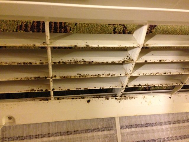 Can a Window Air Conditioner Have Mold 