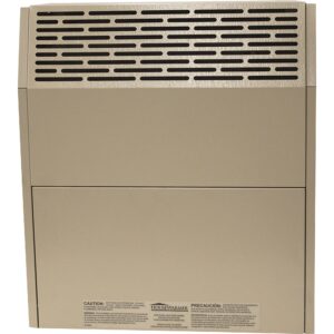 HouseWarmer Slim-Profile Direct Vent Heater